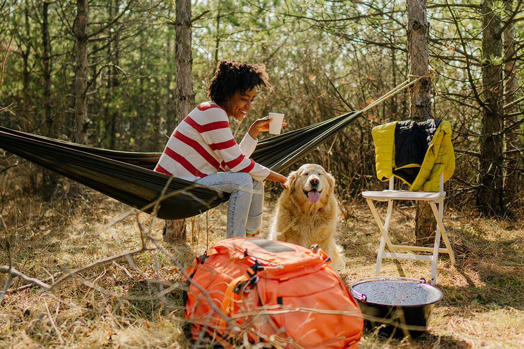 9 Tips For Camping With Your Dog