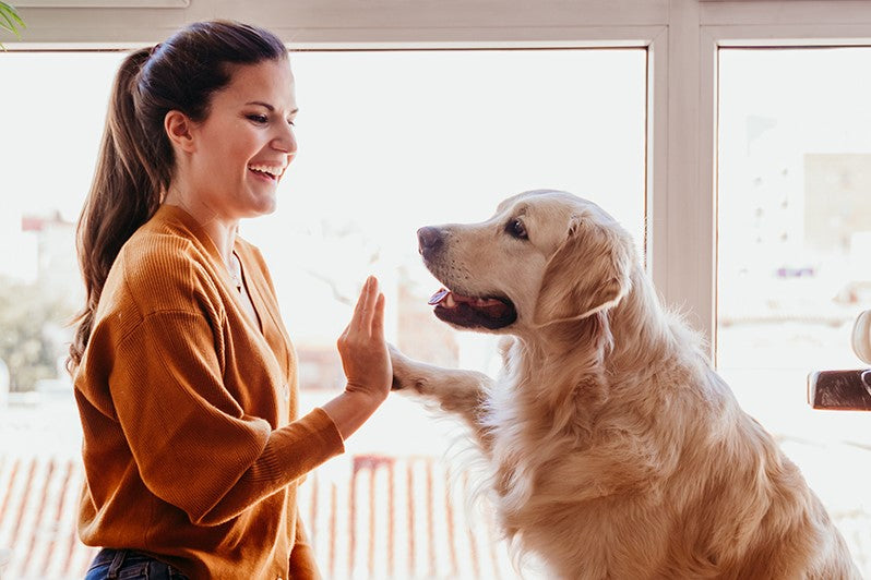 Flea & tick protection doesn’t begin and end with a one-time solution. Pet protection is something you as a pet owner should practice with your pet regularly.