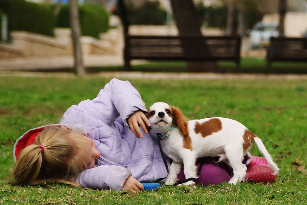 Young girl lying in the grass playing with her cute dog