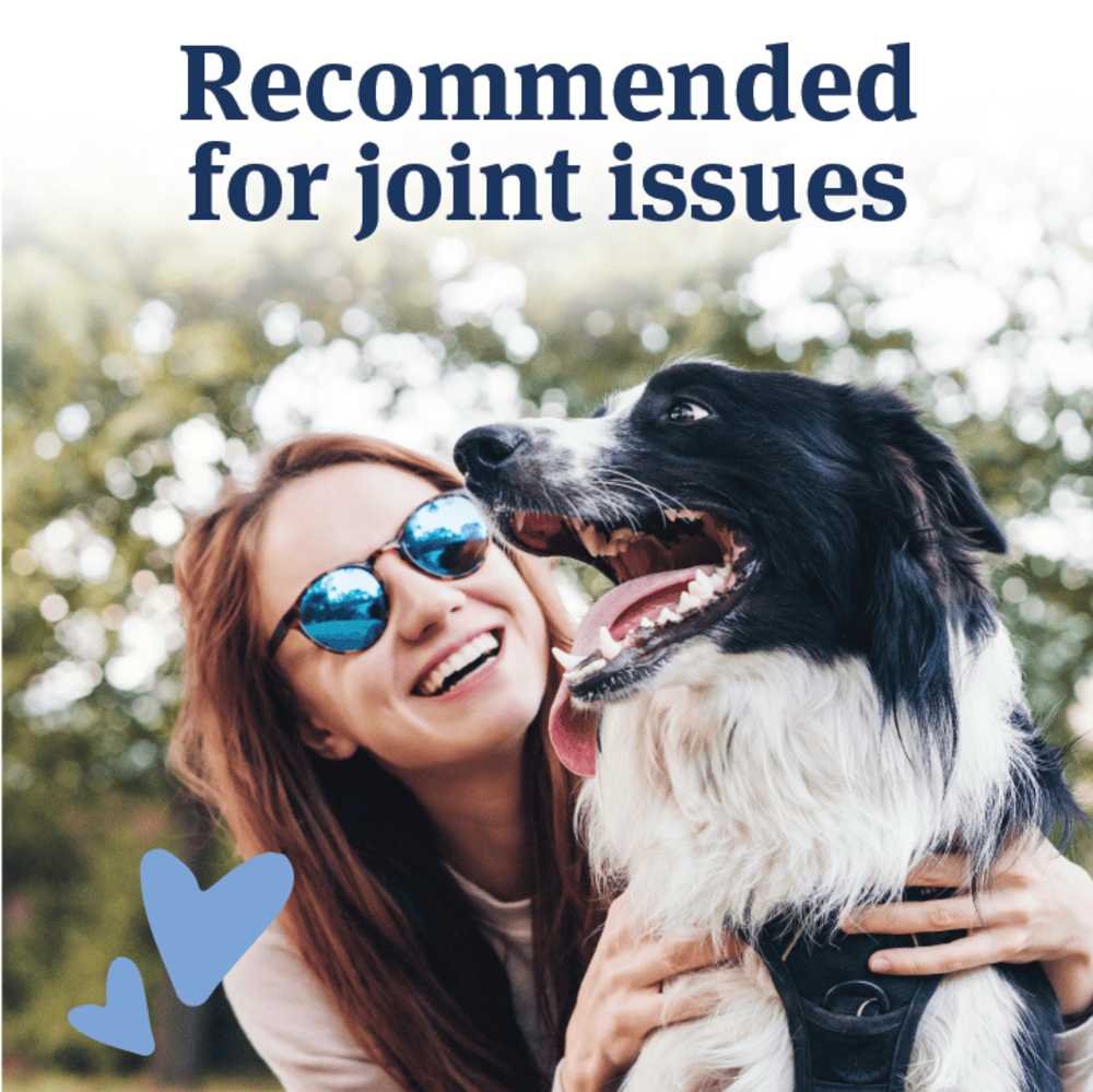 Recommended for joint issues for current product