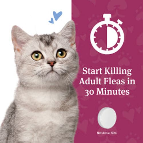 start killing adult fleas in 30 mins for current product