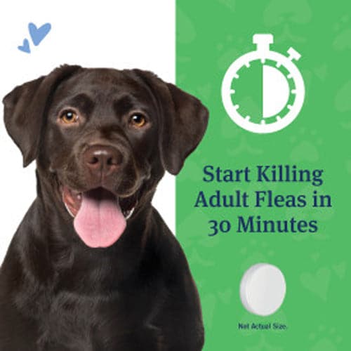 start killing adult fleas in 30 mins for all > 25lbs products