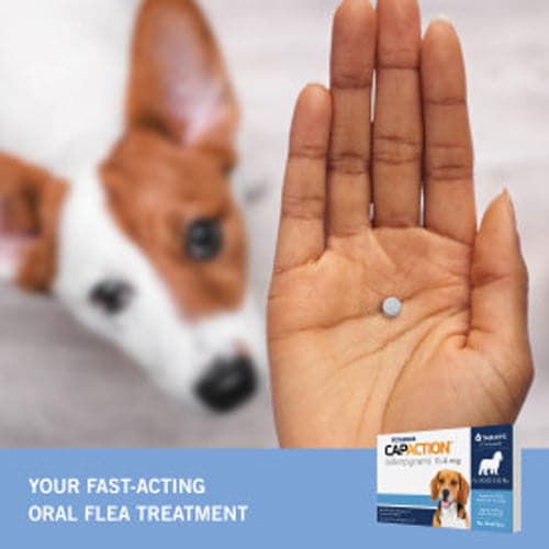 your fast-acting oral flea treatment for all 2-25lbs products