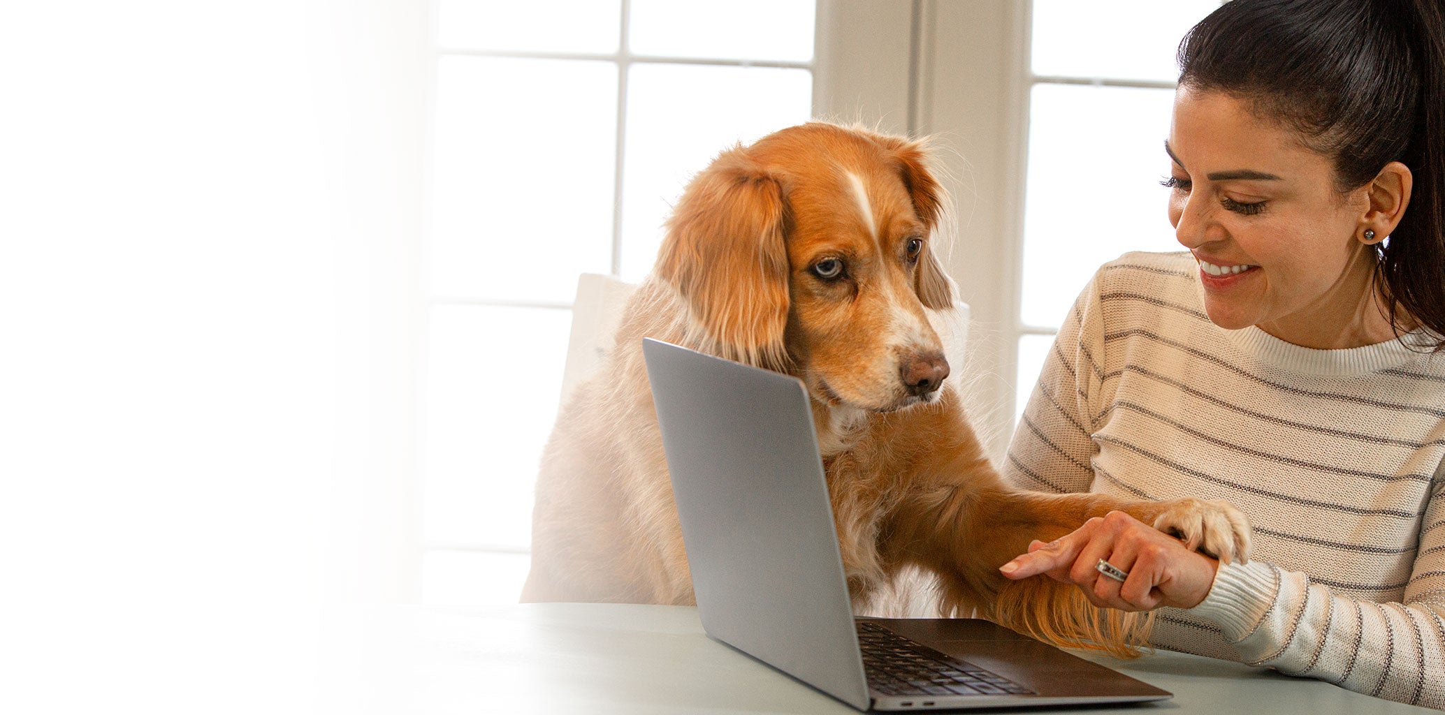 A happy pet parent interacts with her laptop with her dog at her side