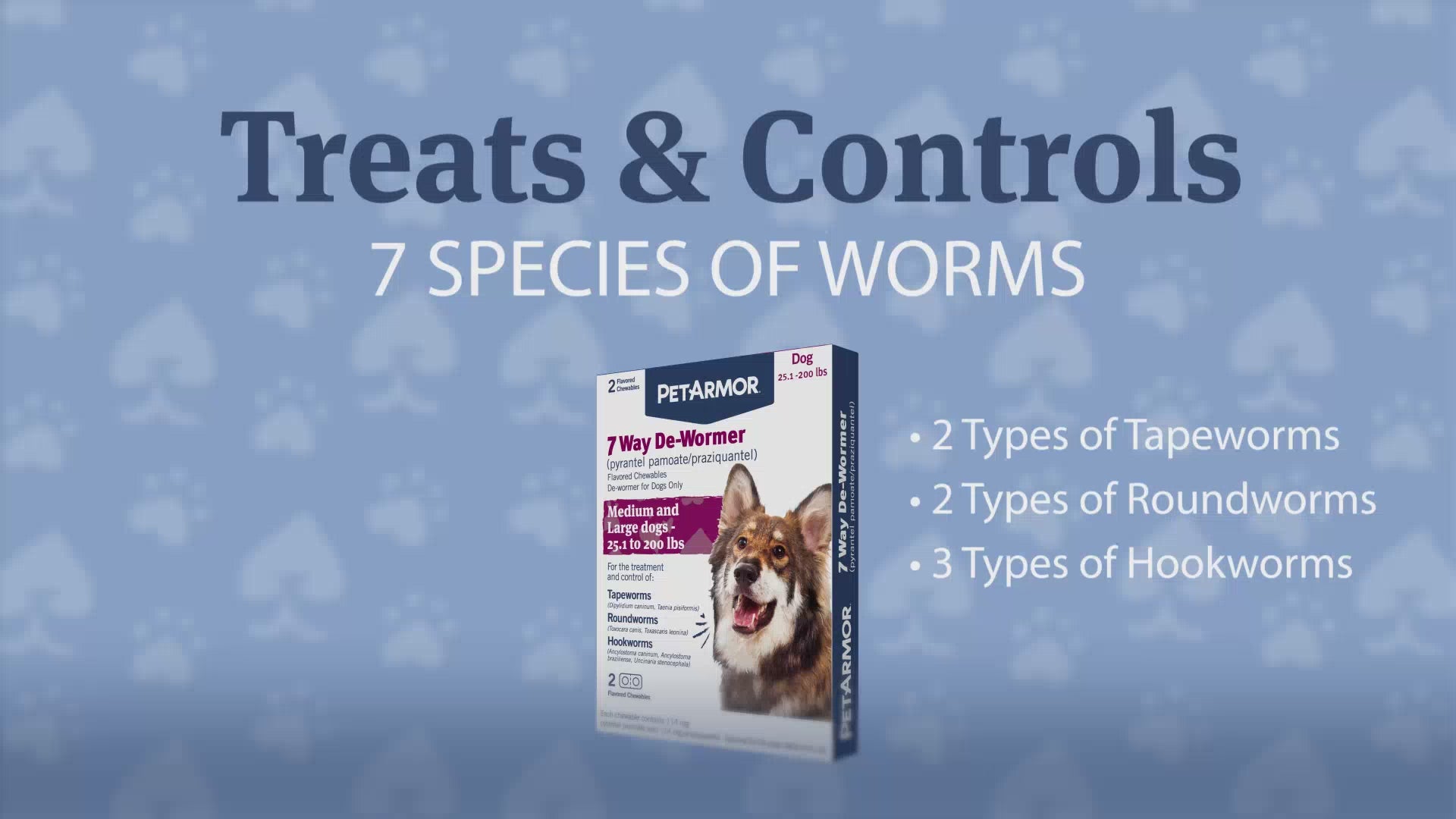 pinworm in dogs
