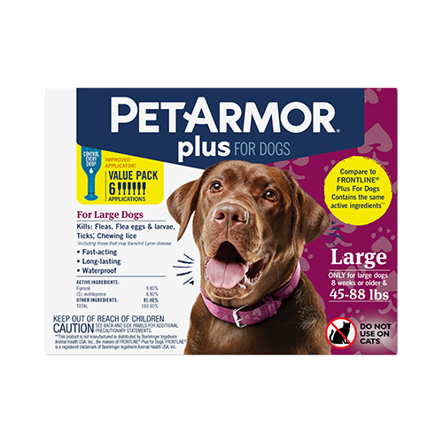 Pet plus shop dogs