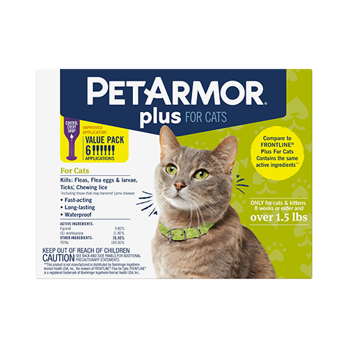 Tick medicine top for cats