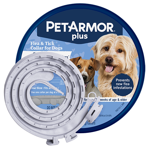 Flea collar near me best sale