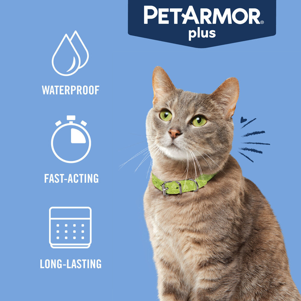 PetArmor Plus for Cats for current product