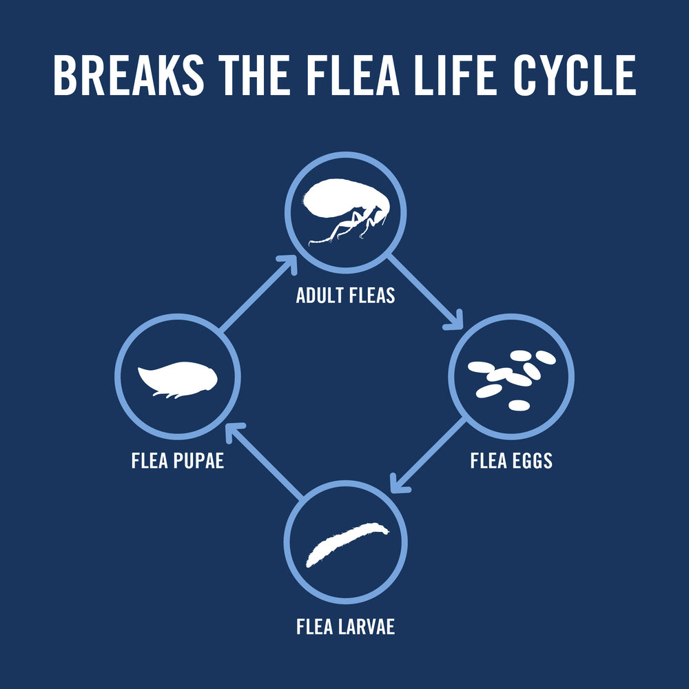Breaks flea life cycle for current product