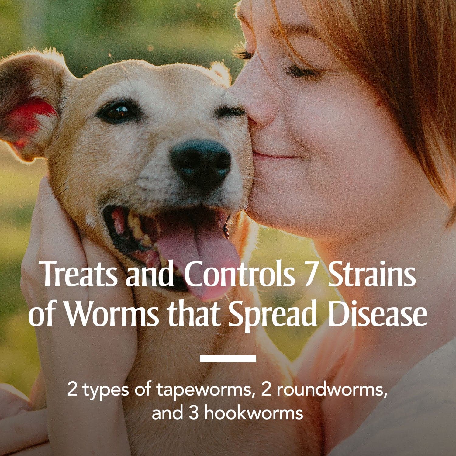 Treats and controls 7 strains of worms that spread diseases  for 2 / Medium & Large Dogs & 6 / Medium & Large Dogs