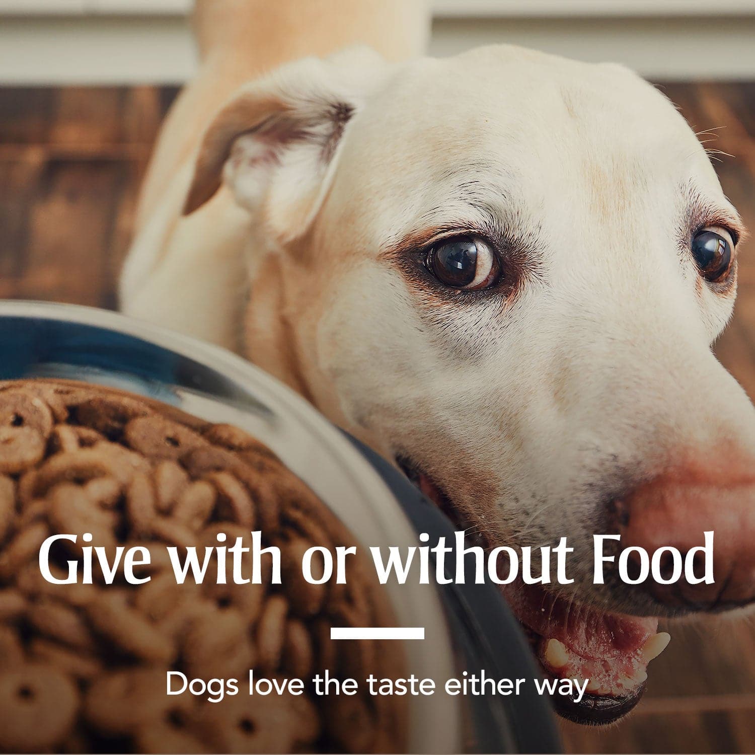 give with or without food for 2 / Medium & Large Dogs & 6 / Medium & Large Dogs