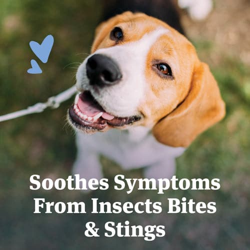 Soothes symptoms from bites and stings
