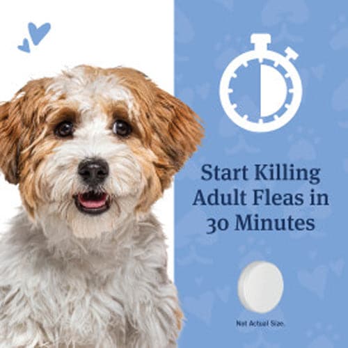 start killing adult fleas in 30 mins for all 2-25lbs products