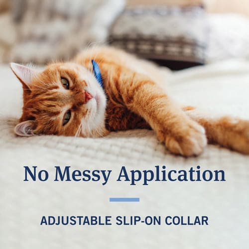 Striped Cat Collar  The Emerson by ShopMeowza