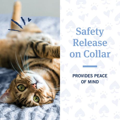 Safety release on collar