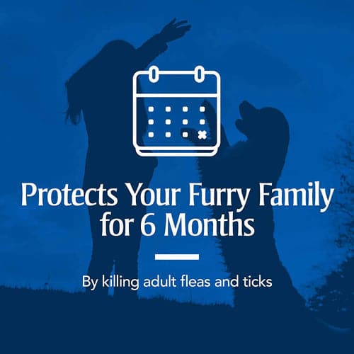 protects your furry family for 6 months  for current product