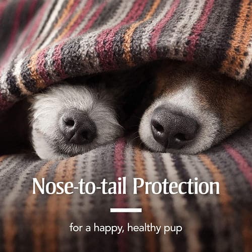 nose to tail protection for current product
