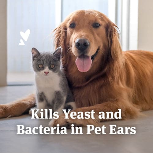 Kills yeast and bacteria in pet ears