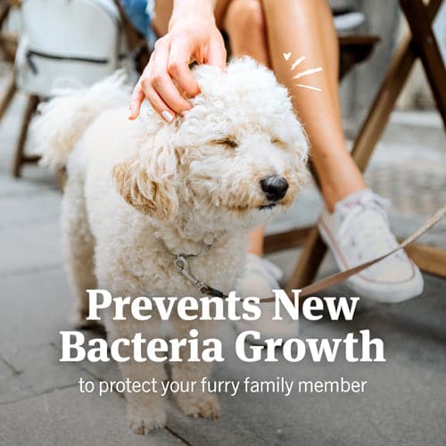 Prevents new bacteria growth