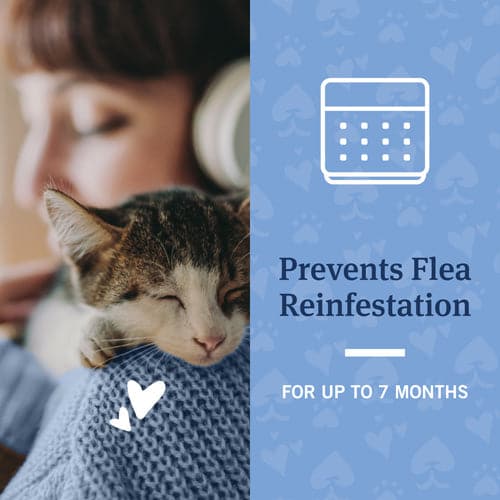 Prevent flea reinfestation