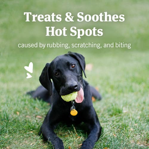 Treats and soothes hot spots
