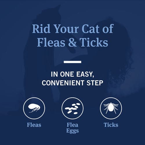 Rid your cat of fleas and ticks