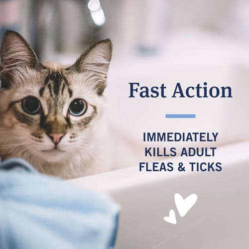 Fast action