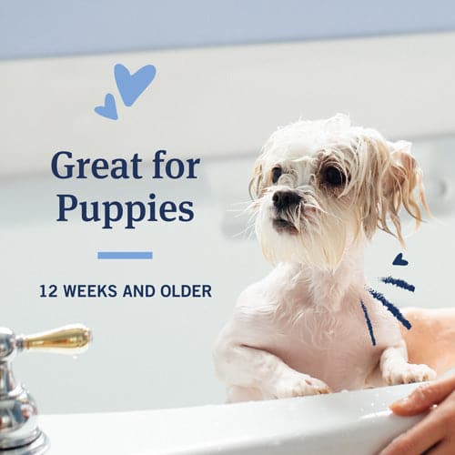 great for puppies 12 weeks and older for Oatmeal - Hawaiian Ginger product