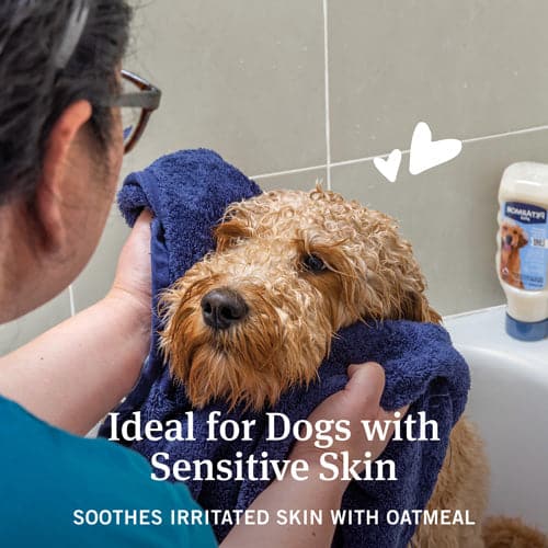 ideal for dogs with sensitive skin for Oatmeal - Hawaiian Ginger product