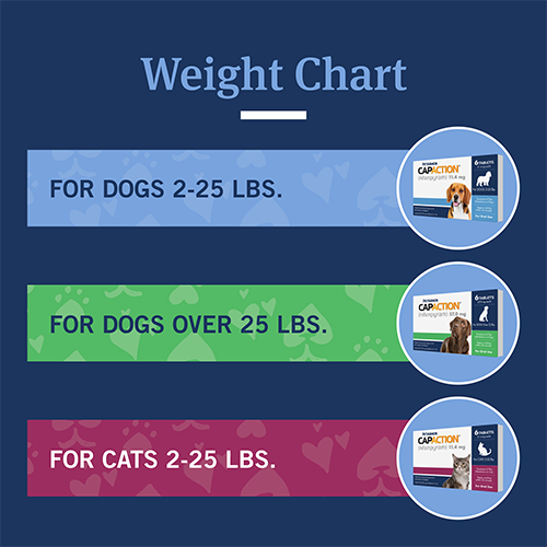 weight chart for current product
